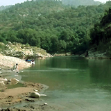 Tattapani