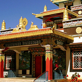 Tara Devi